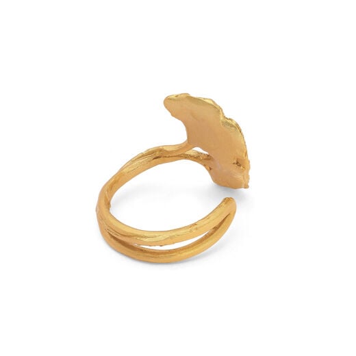 Ginkgo leaf ring by Michael Michaud